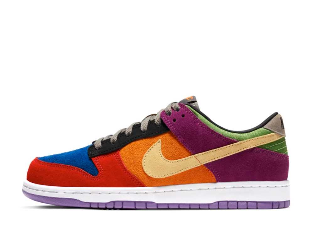 ナイキ ダンク ロー バイオテック NIKE DUNK LOW VIOTECH CT5050-500