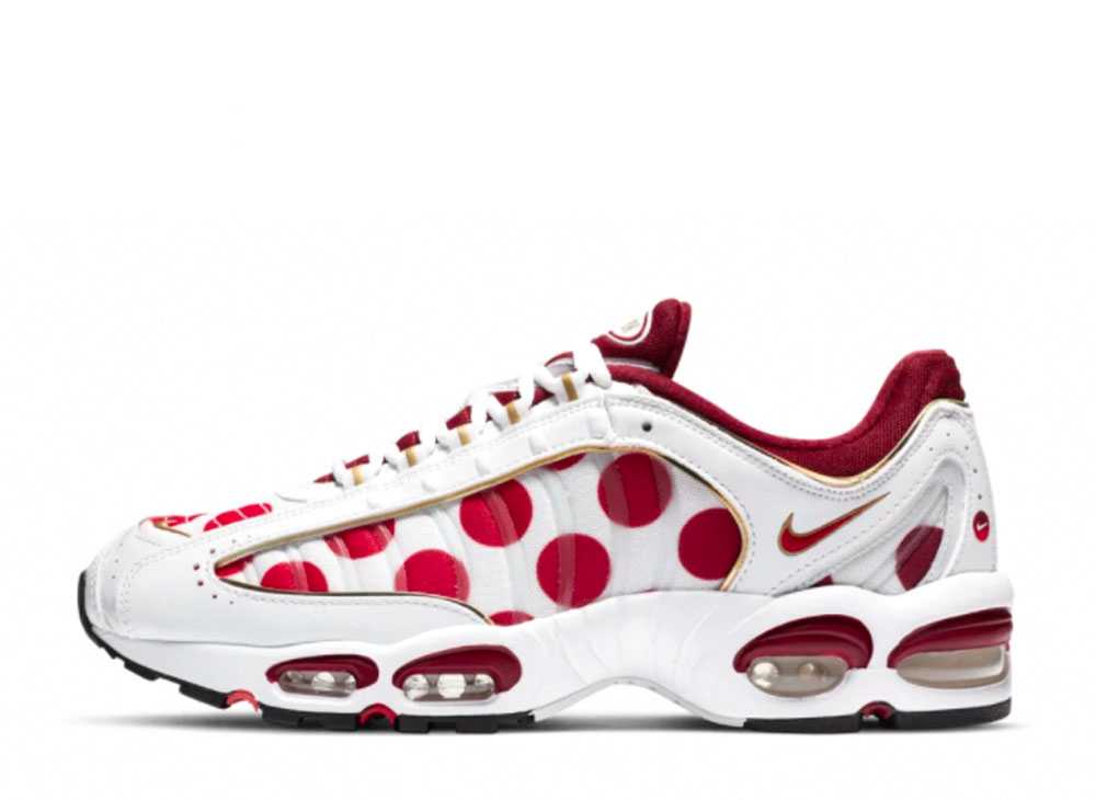 ナイキ エアマックス テイルウィンドウ 4 日本 Nike Air Max Tailwind 4 Nippon CW4810-167