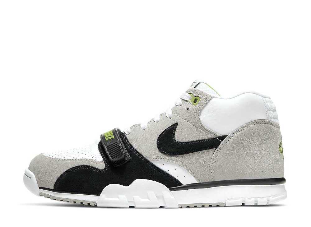 ナイキ SB エア トレーナー クロロフィル NIKE SB AIR TRAINER 1 CHLOROPHYLL CW8604-001