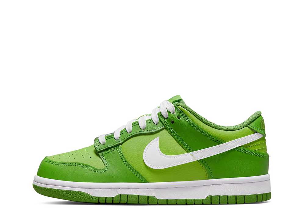 ナイキ GS ダンク ロー カーミット Nike GS Dunk Low Kermit/Chlorophyll DH9765-301