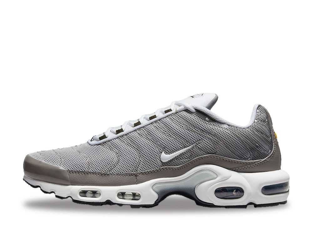 ナイキ エアマックスプラス フラット ピューター Nike Air Max Plus Flat Pewter DV7665-002