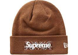 シュプリーム ニューエラ ロゴ ビーニー Supreme New Era?Logo Beanie Brown SUP-FW19-111-Brown