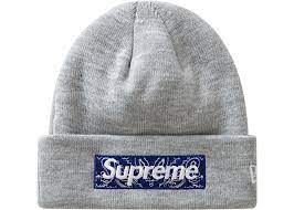 シュプリーム ニューエラ ロゴ ビーニー Supreme New Era? Logo Beanie Grey SUP-FW19-111-Grey