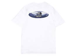 シュプリーム ザノースフェイス T ホワイト Supreme/The North Face Mountains Tee White SUP-FW21-210-White