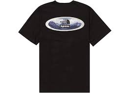 シュプリーム ザノースフェイス T ブラック Supreme/The North Face Mountains Tee Black SUP-FW21-210