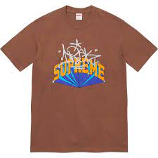 シュプリーム アイラック アーク T Supreme/IRAK Arc Tee Brown SUP-FW22-134-Brown