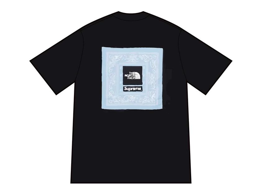 シュプリーム ザ ノース フェイス バンダナ T ブラック Supreme/The North Face Bandana Tee Black SUP-SS22-338-Black