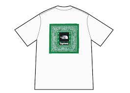 シュプリーム ザ ノース フェイス バンダナ T ホワイト Supreme/The North Face Bandana Tee White SUP-SS22-338